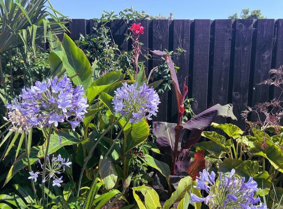 Holiday home The - A Romantic Seaside Getaway And Garden Ryde (Isle of Wight)